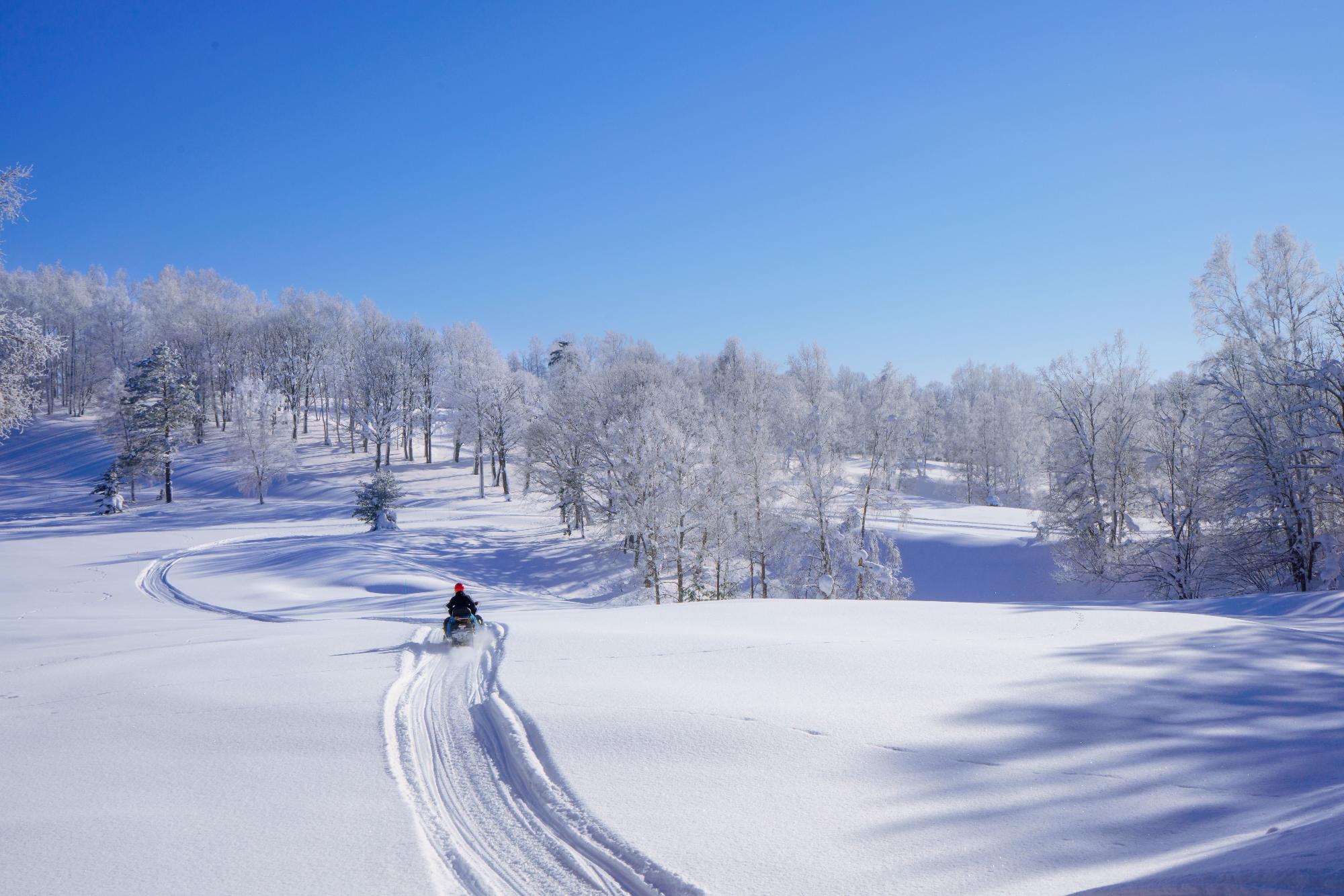 青空の下、雪に覆われた士別の木々と白い丘